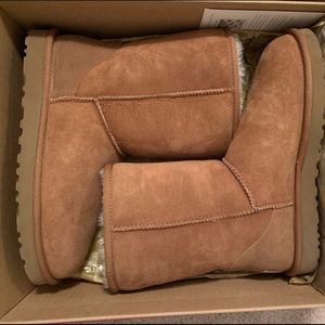 BRAND NEW UGGS classic women’s